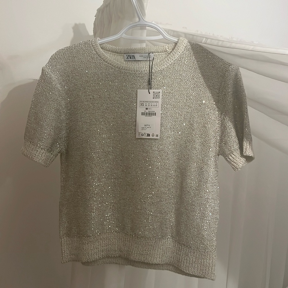 NWT Sparkly Zara Knit Top